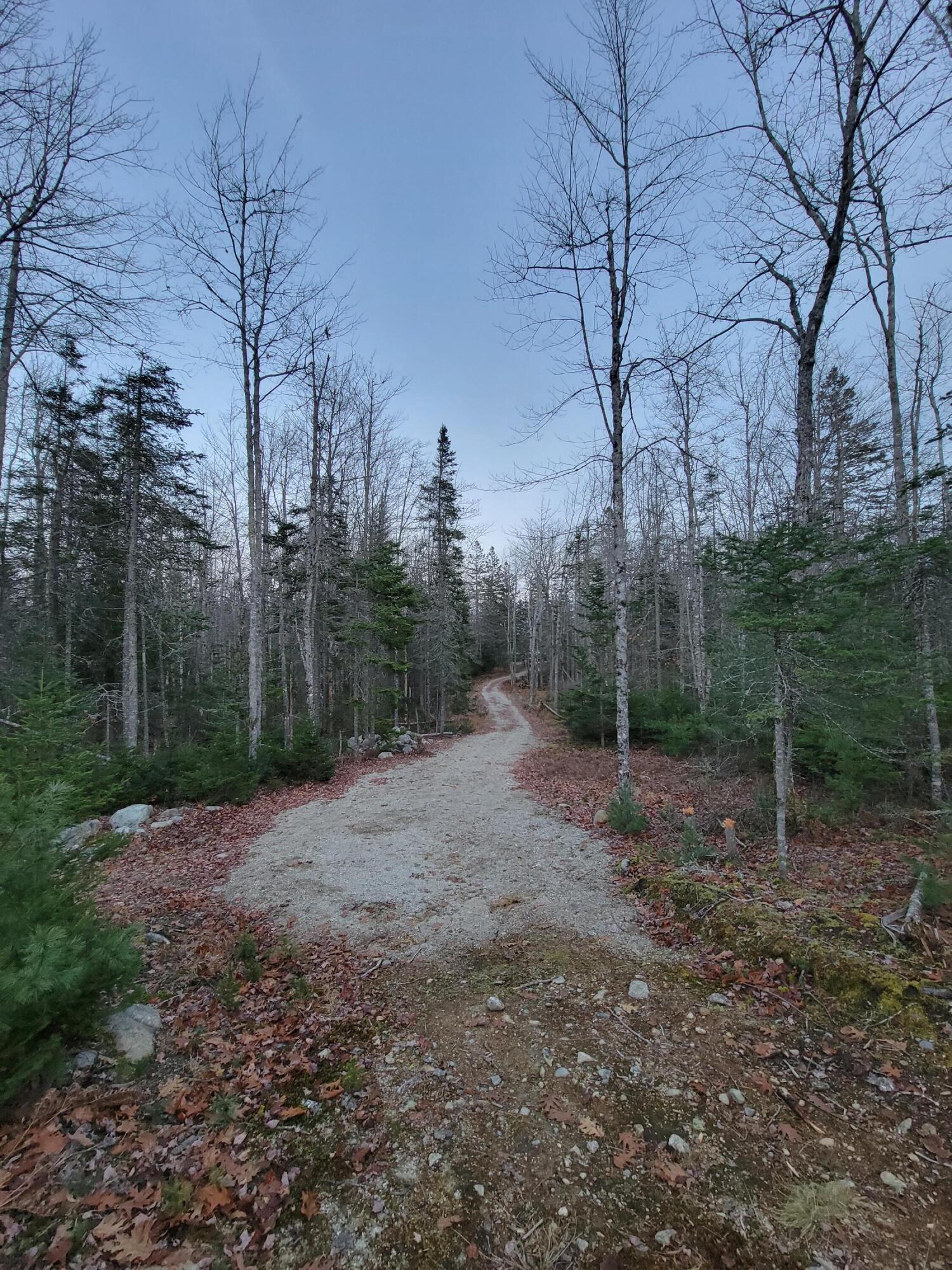 187 Morgan Bay Road Surry, ME 04684 - Photo 6 of 8 008