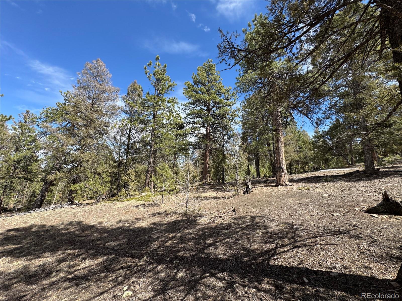1666 Singletree Road Hartsel, CO 80449 - Photo 23 of 37 a view of a snow in the yard