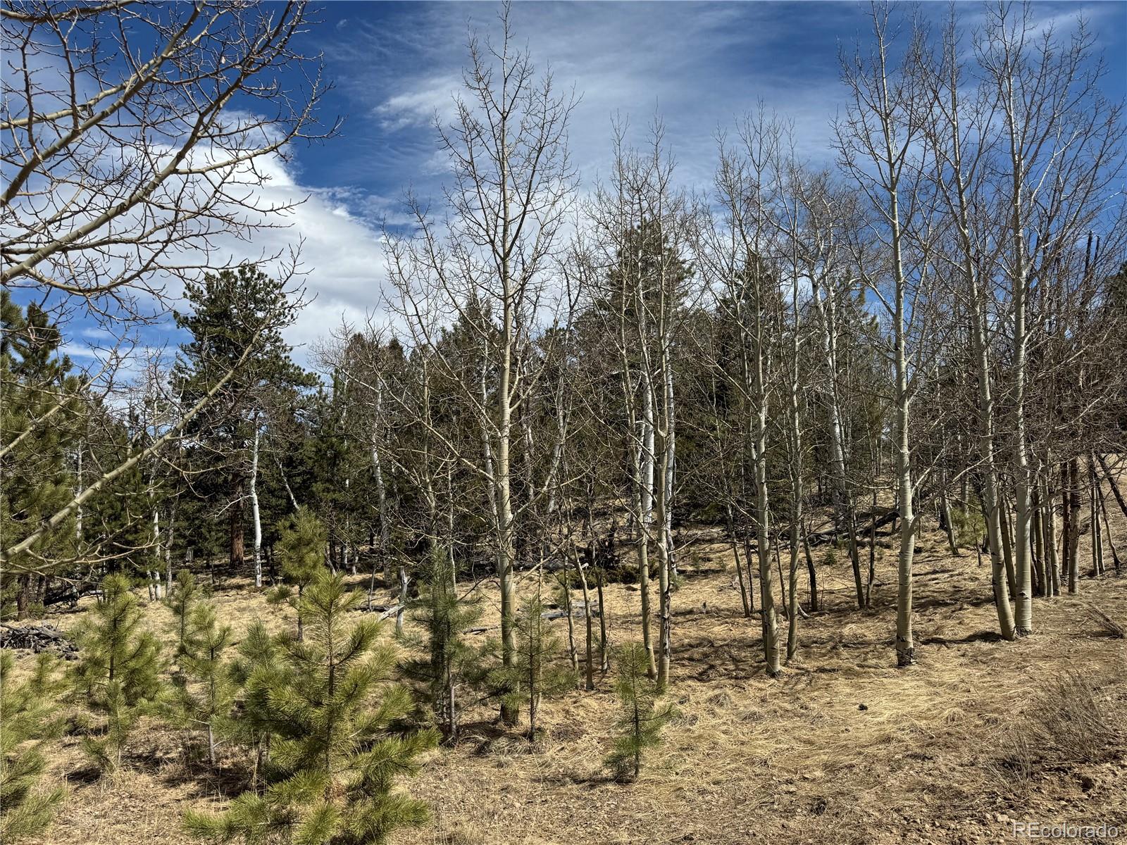 1666 Singletree Road Hartsel, CO 80449 - Photo 31 of 37 a view of outdoor space