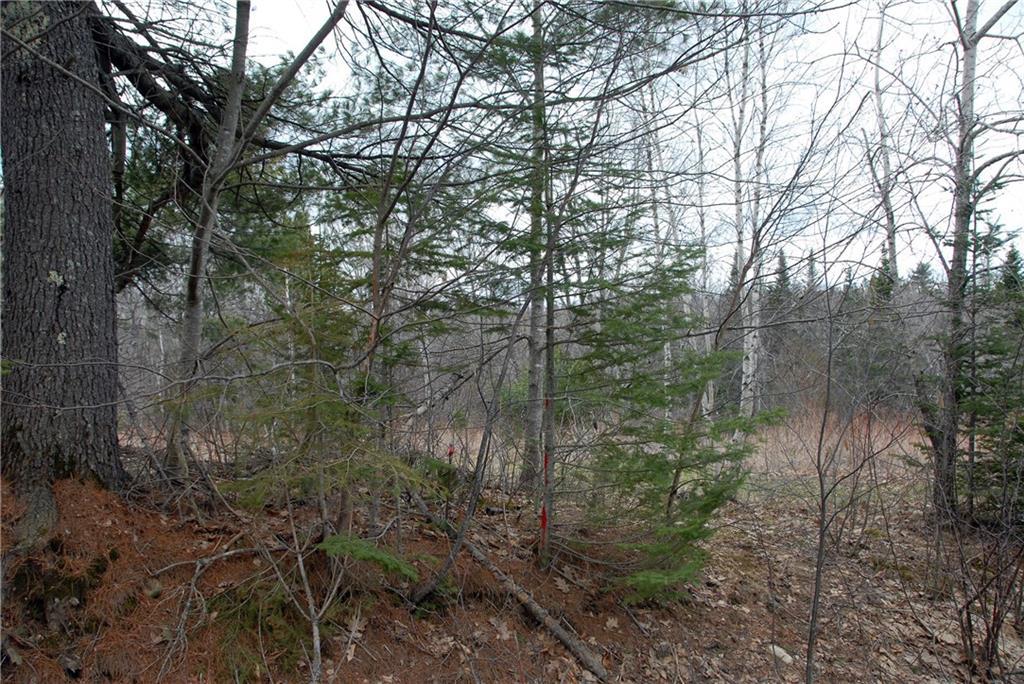0 Cedar Swamp Road Orland, ME 04472 - Photo 4 of 24 Photo