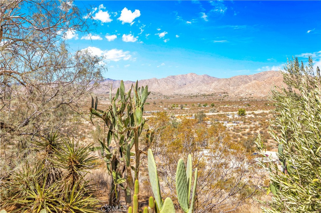 52601 Mecca Road Morongo Valley, CA 92256 - Photo 30 of 51