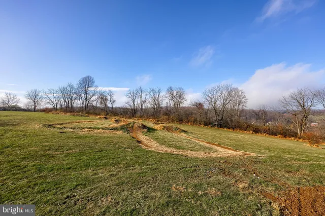 a view of a yard with ocean and trees
