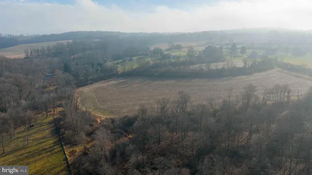 a view of a dry yard