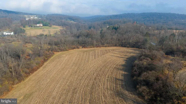 a view of a dry yard with green space
