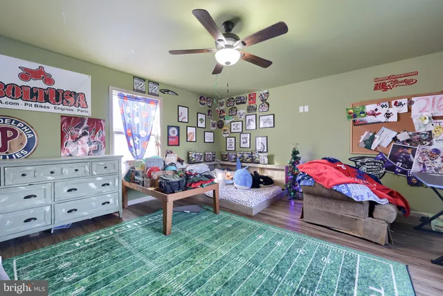 a living room with furniture and a view of couch