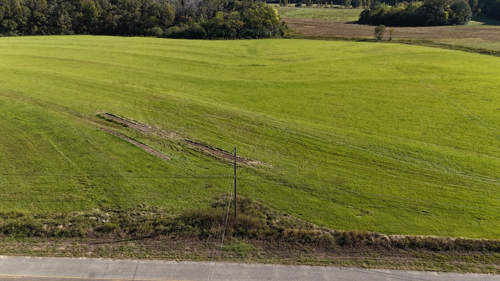 Lot 2 Battles Road Dothan, AL 36301 - Photo 2 of 4
