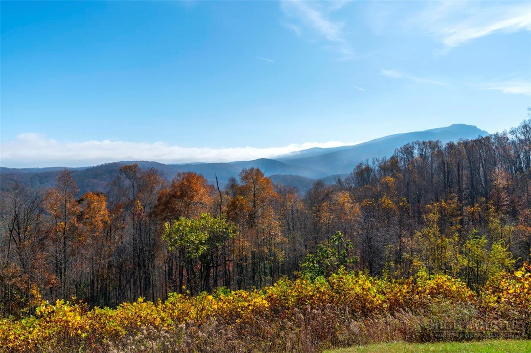 171 Falcon Trace, Unit C411 Boone, NC 28607 - Photo 19 of 45