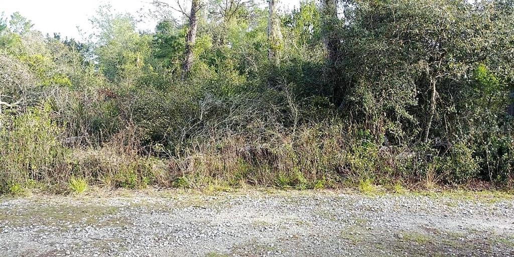 0 Tinley Road New Port Richey, FL 34654 - Photo 1 of 1