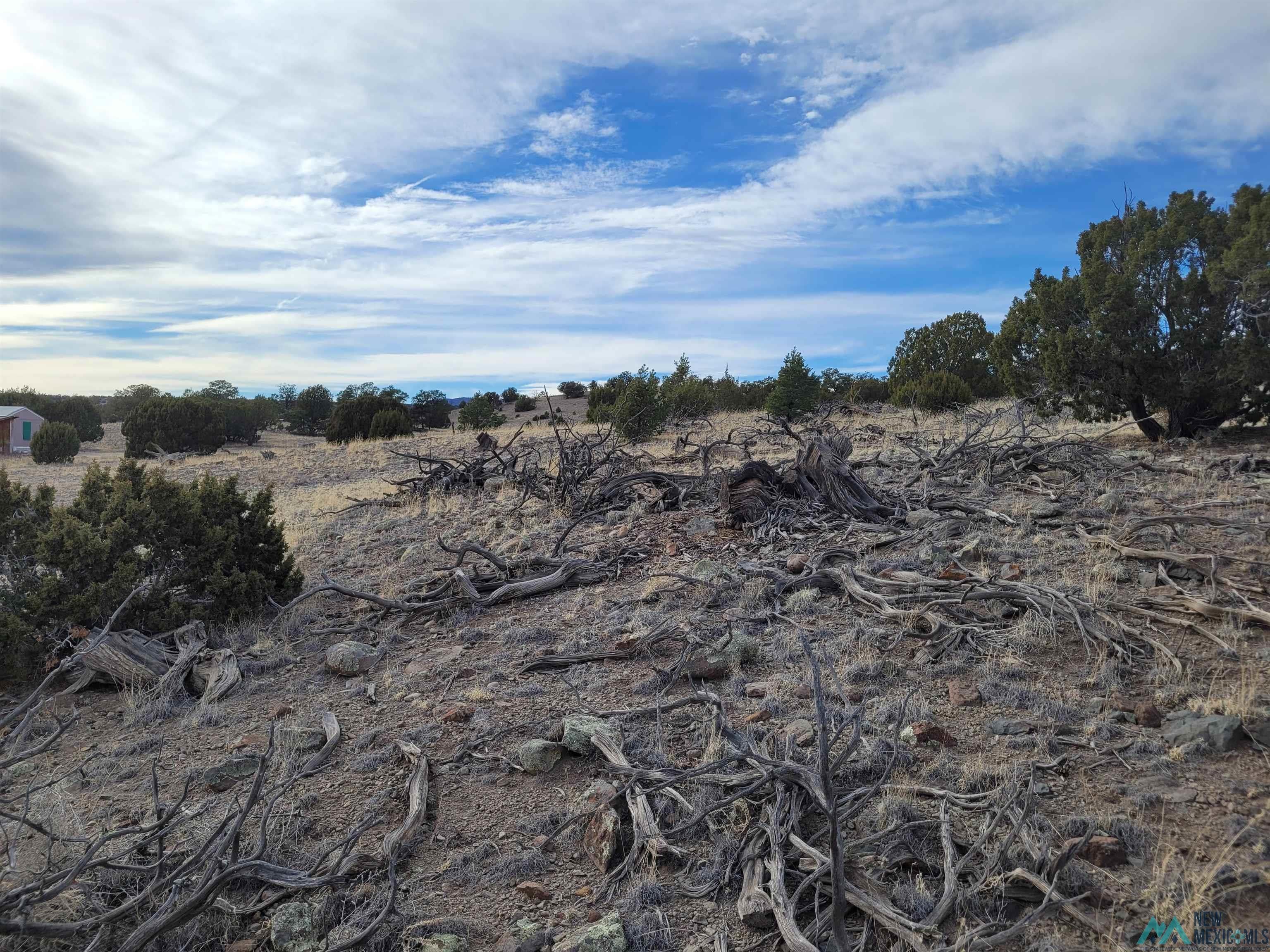 47 Cougar Run Datil, NM 87821 - Photo 3 of 38 Gallery Image 3