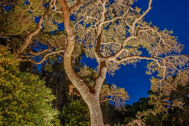 $5,875,000 | 23423 Toyonita Road, Los Altos Hills, CA 94024