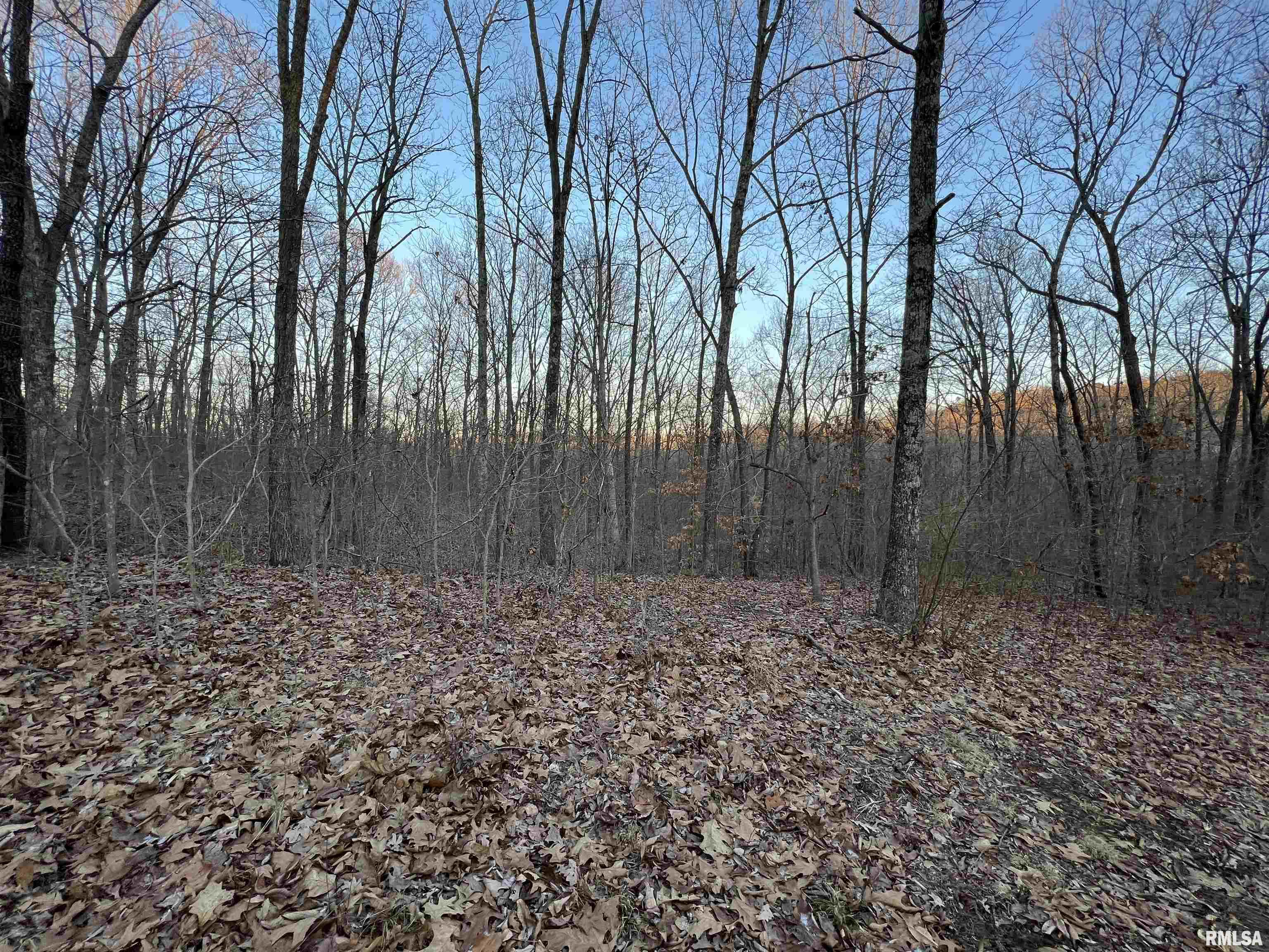 0 Panthers Den Road Makanda, IL 62958 - Photo 8 of 10 Gallery Image 8