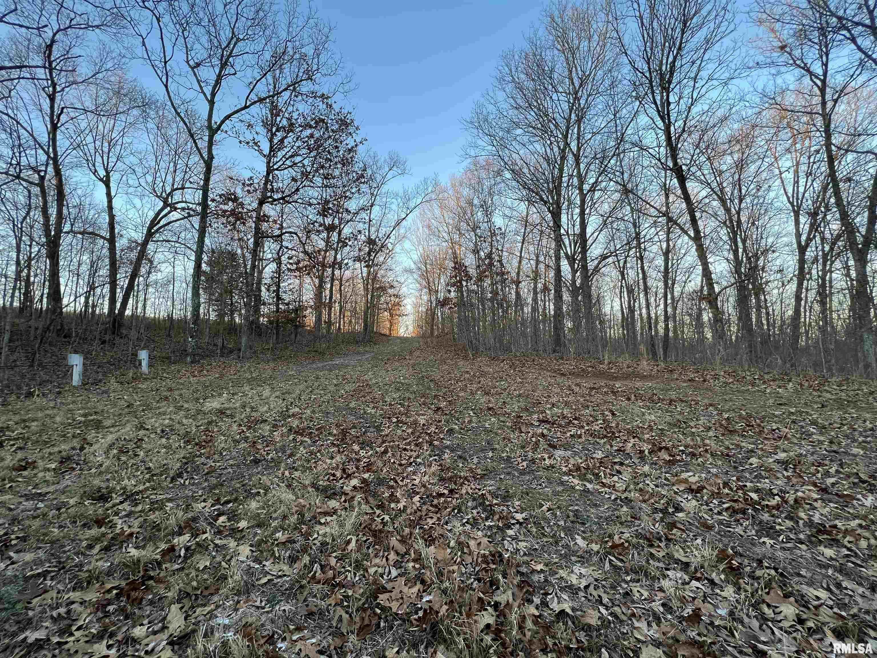 0 Panthers Den Road Makanda, IL 62958 - Photo 9 of 10 Gallery Image 9