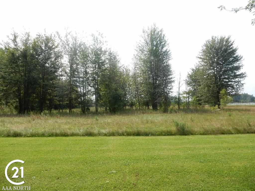 0 West Wellman Line Road Melvin, MI 48097 - Photo 7 of 7