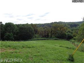 5883 Fox Valley Road Southwest Gnadenhutten, OH 44629 - Photo 22 of 22 Gallery Image 22