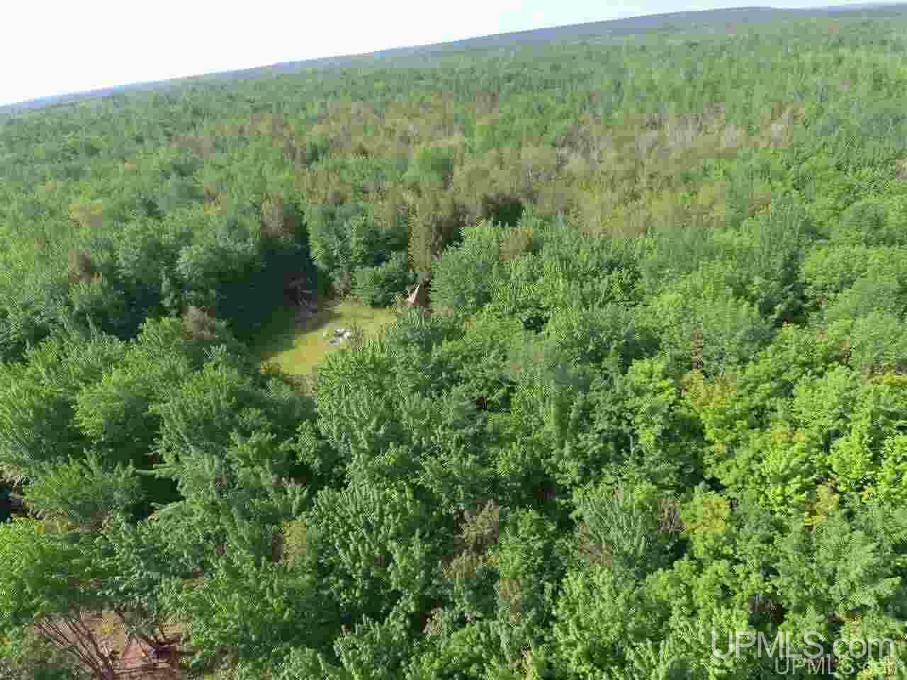 1214 Burning Road Deerton, MI 49822 - Photo 21 of 27