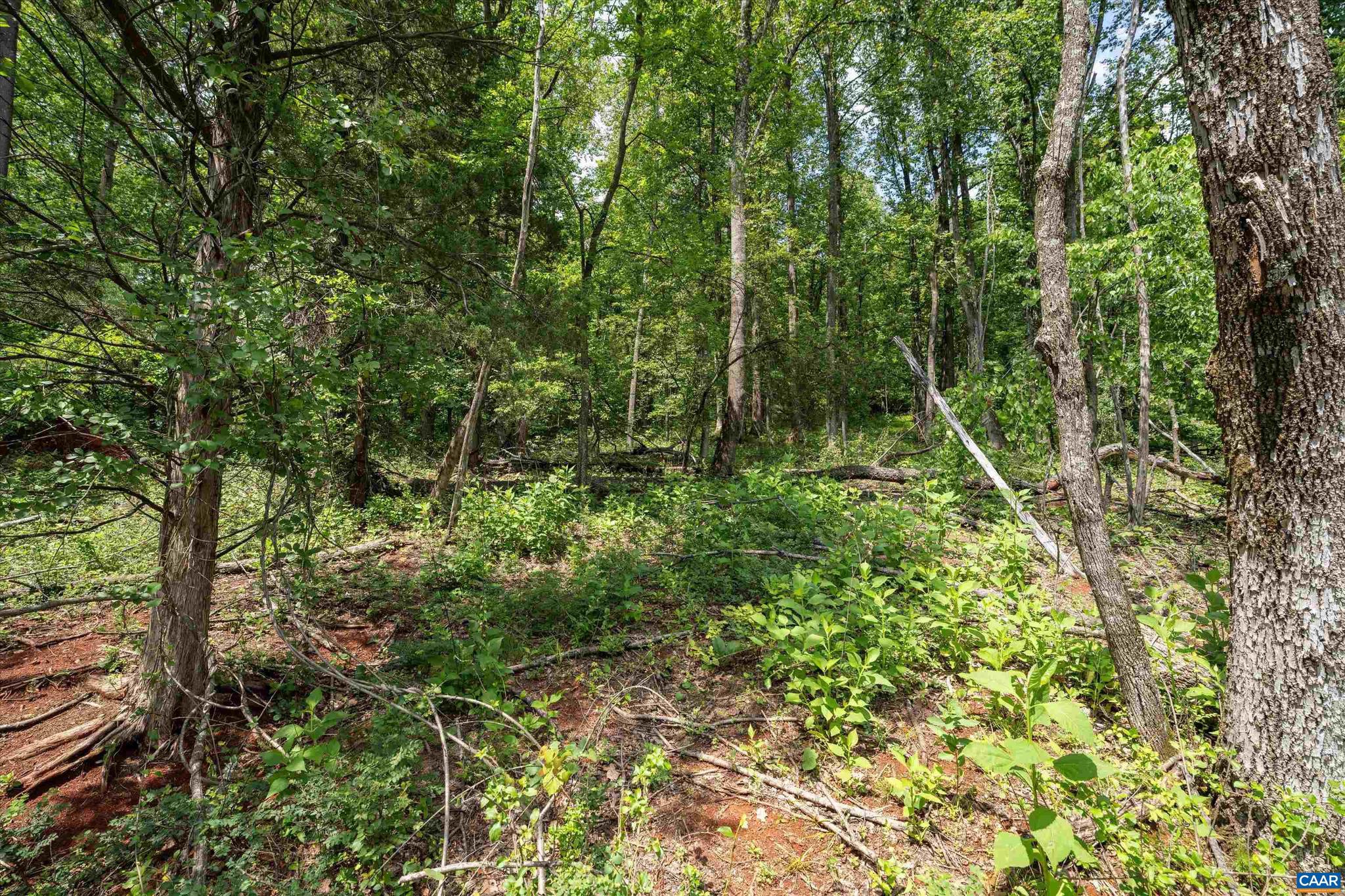 Hyland Ridge Drive, Unit R2 Charlottesville, VA 22911 - Photo 13 of 34
