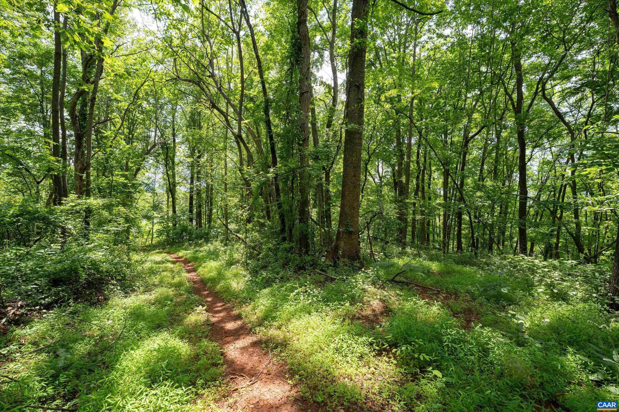 Hyland Ridge Drive, Unit R2 Charlottesville, VA 22911 - Photo 17 of 34