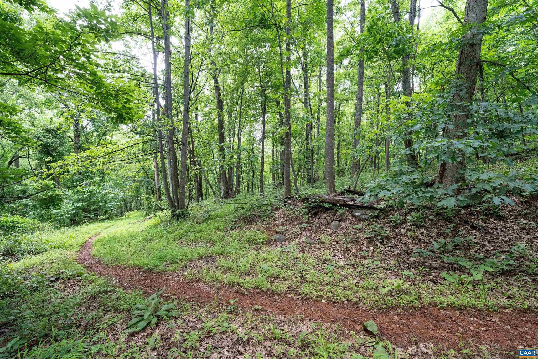 Hyland Ridge Drive, Unit R2 Charlottesville, VA 22911 - Photo 19 of 34