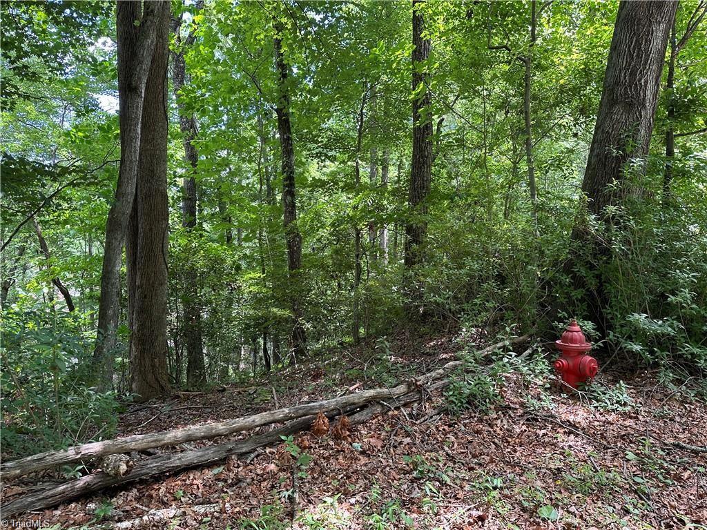 Tbd South Recreation Road Wilkesboro, NC 28697 - Photo 13 of 21