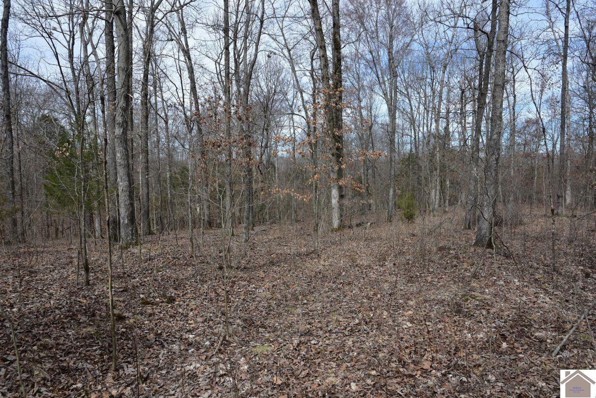 0 Waid Road Benton, KY 42025 - Photo 32 of 35 Photo 32