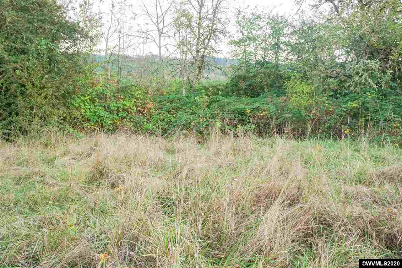 30183 Townsend (next To) (parcel Road Lebanon, OR 97355 - Photo 10 of 19