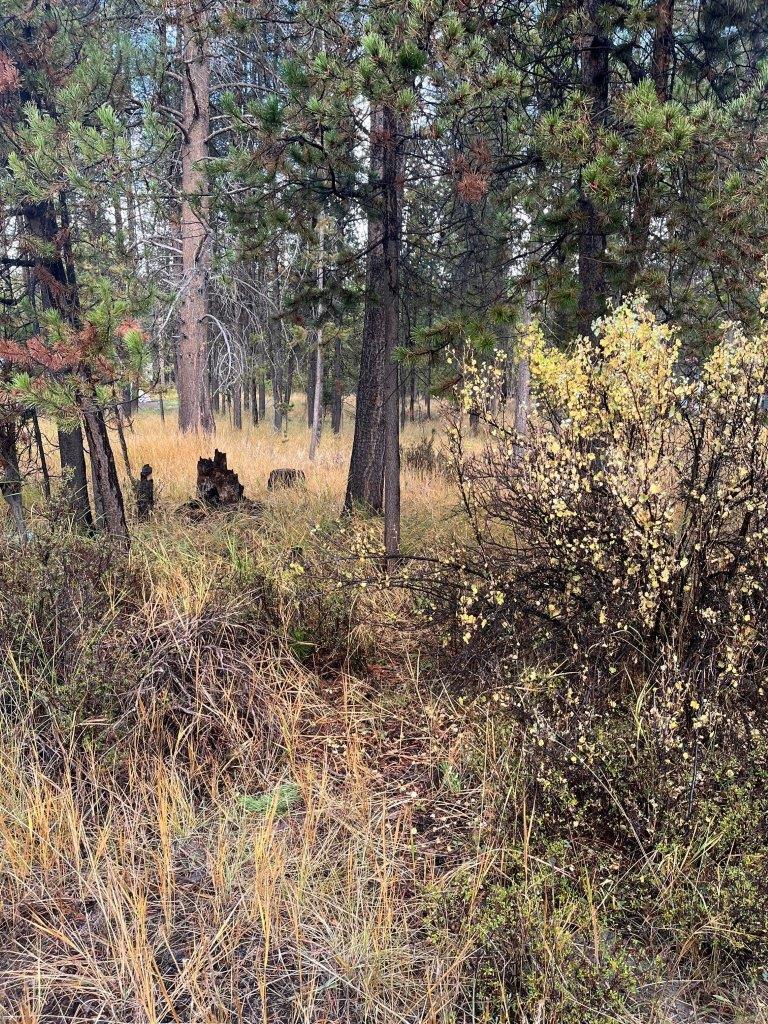 15610 Rim Drive La Pine, OR 97739 - Photo 5 of 9 5