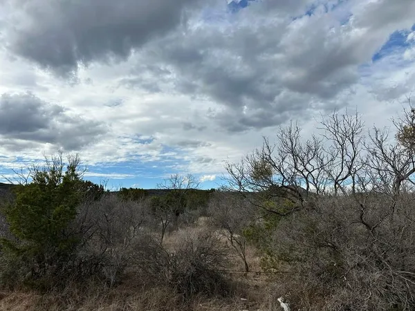 a view of a yard with a tree