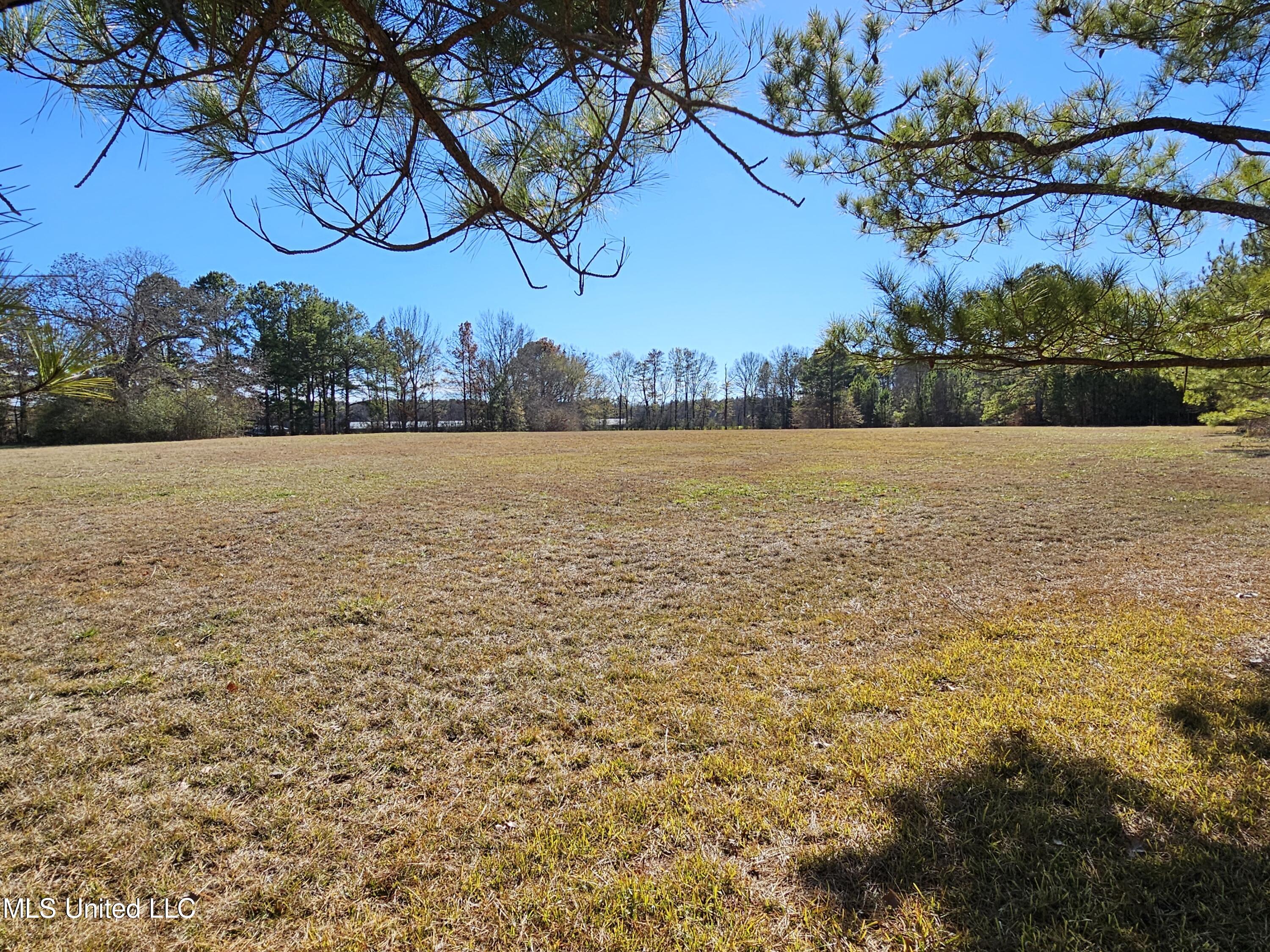 5018 Old Hillsboro Road Forest, MS 39074 - Photo 3 of 42 1000005561