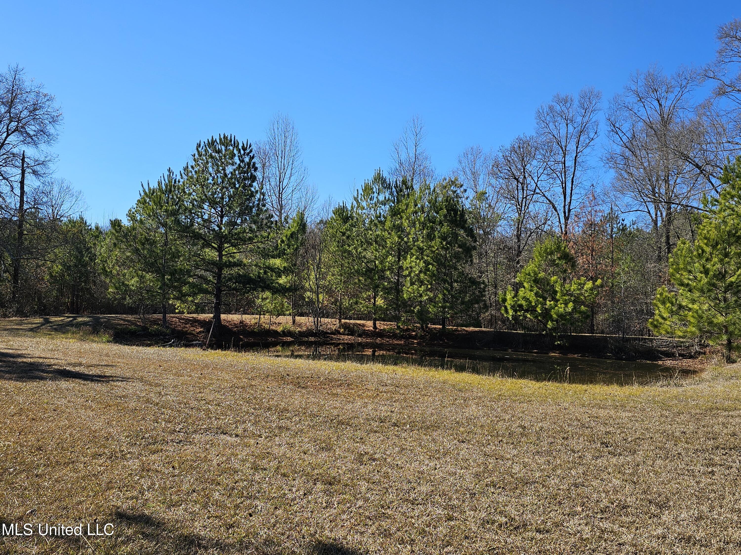 5018 Old Hillsboro Road Forest, MS 39074 - Photo 4 of 42 1000005562