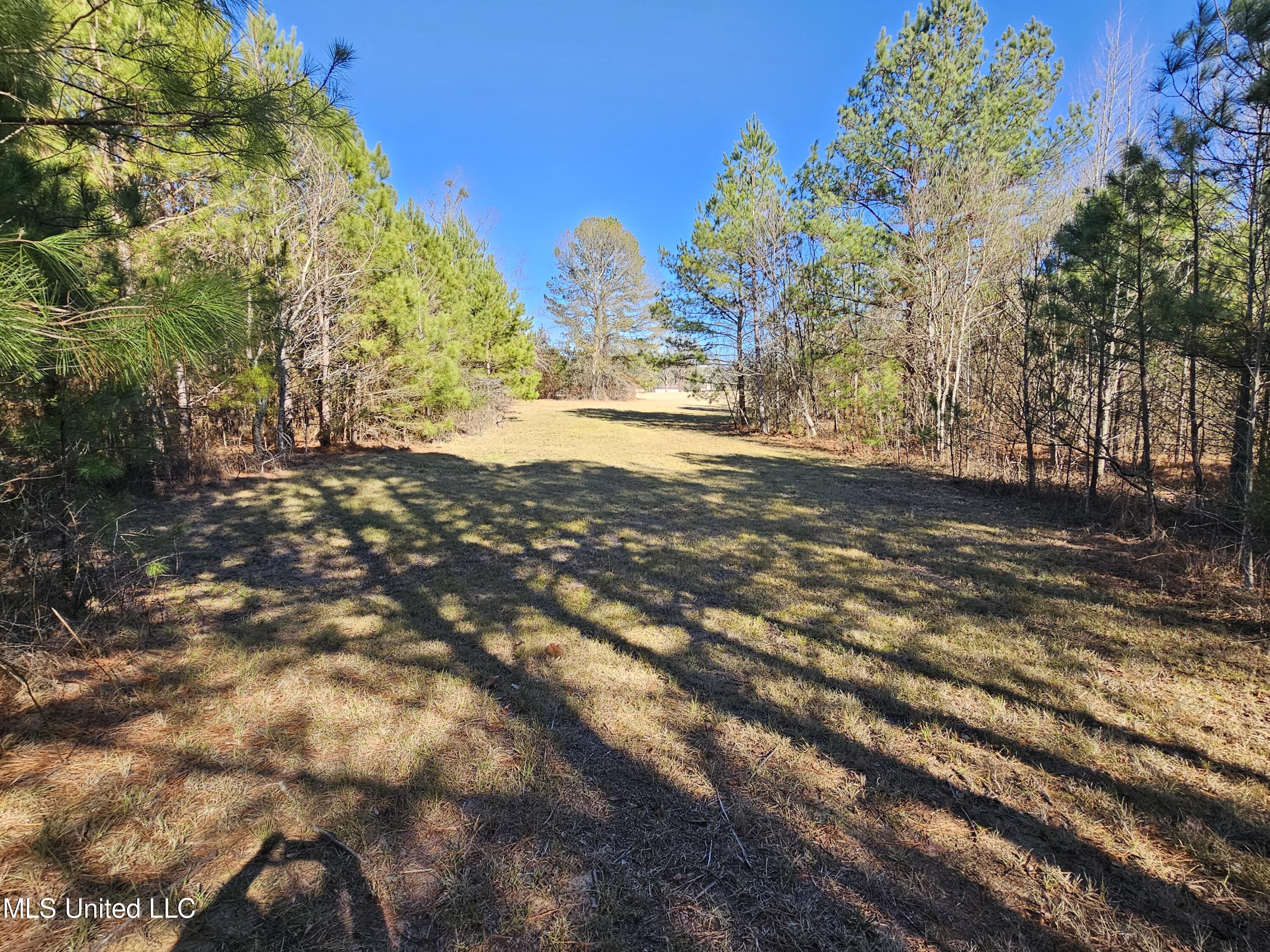 5018 Old Hillsboro Road Forest, MS 39074 - Photo 6 of 42 1000005568
