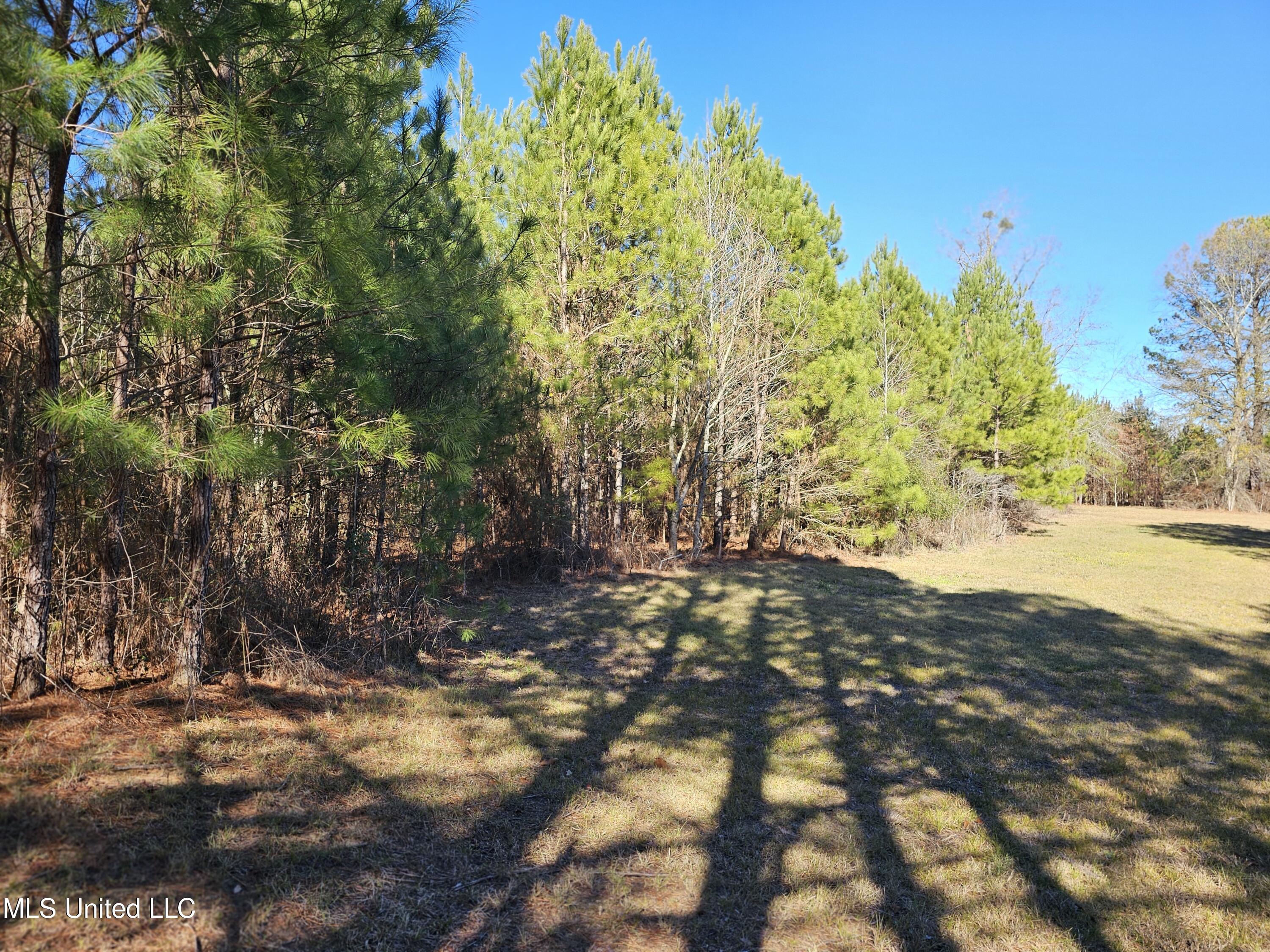 5018 Old Hillsboro Road Forest, MS 39074 - Photo 7 of 42 1000005569