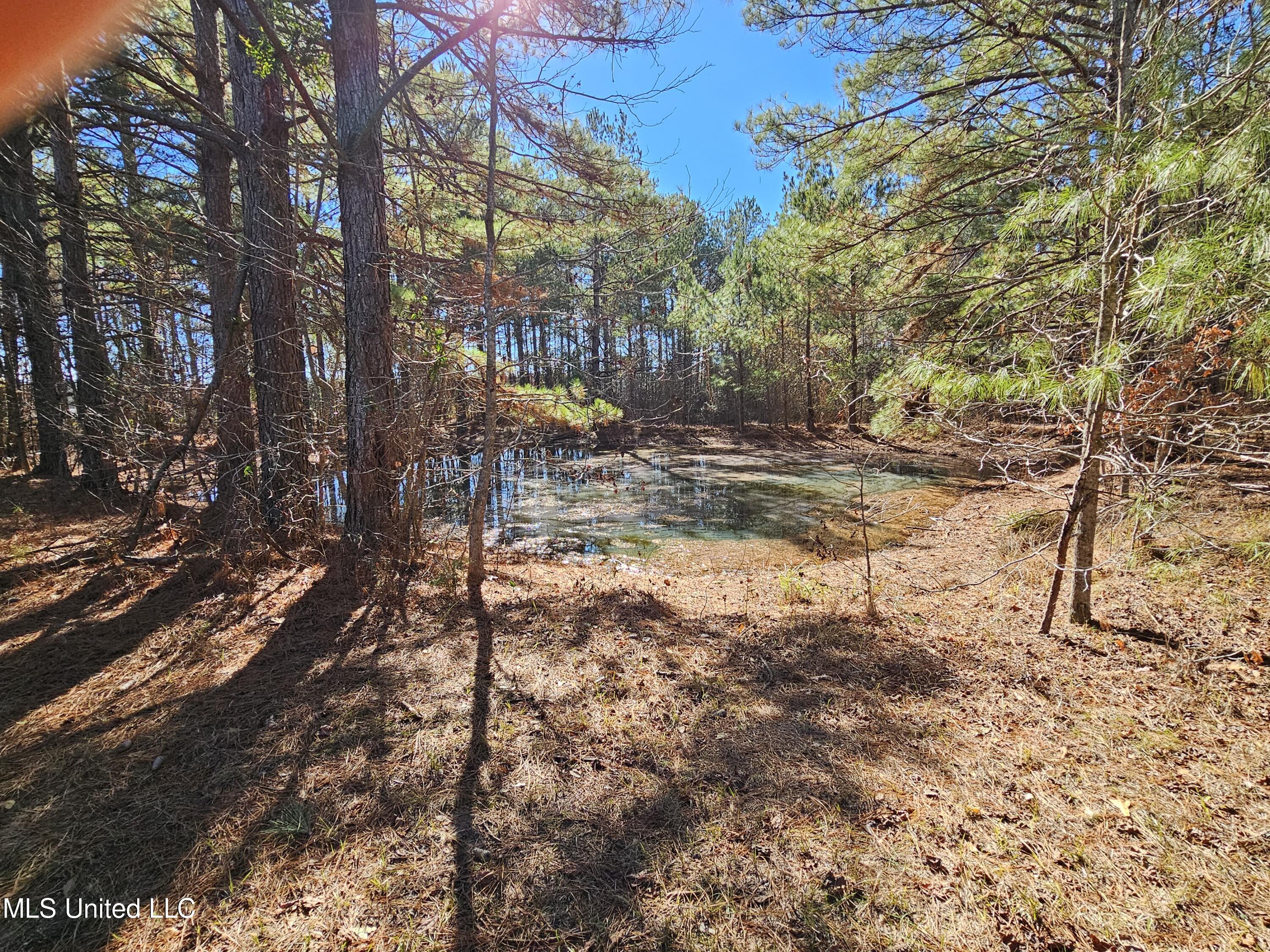 5018 Old Hillsboro Road Forest, MS 39074 - Photo 8 of 42 1000005567