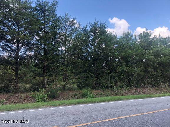 0 River Road Magnolia, NC 28453 - Photo 3 of 3 land 2