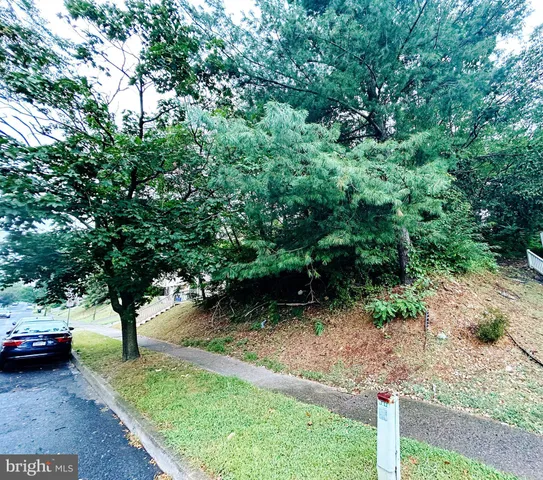 a view of backyard with trees