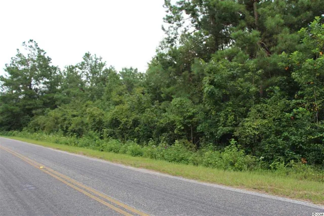 $120,000 | 4 B Hulls Island Road, Loris, SC 29569