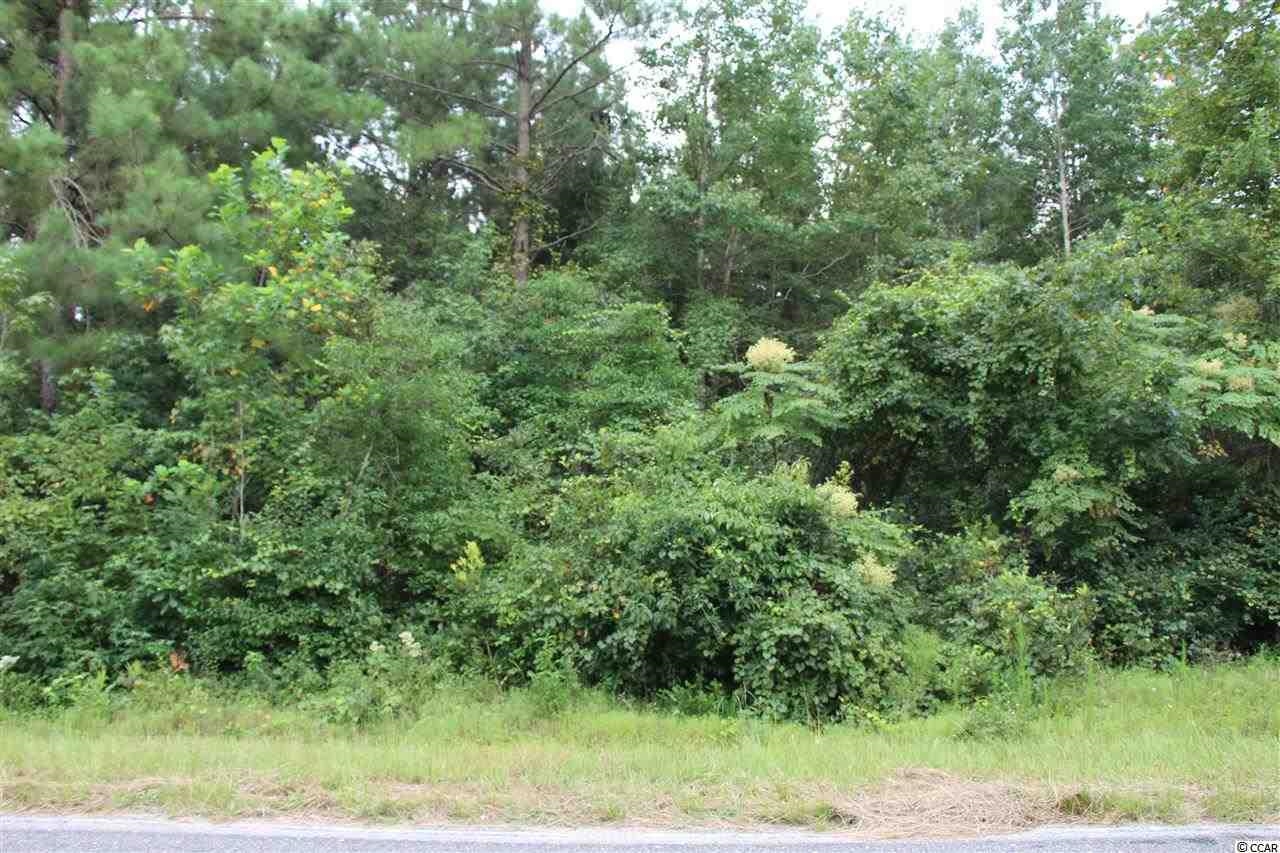 4 B Hulls Island Road Loris, SC 29569 - Photo 2 of 3 View of tree filled area