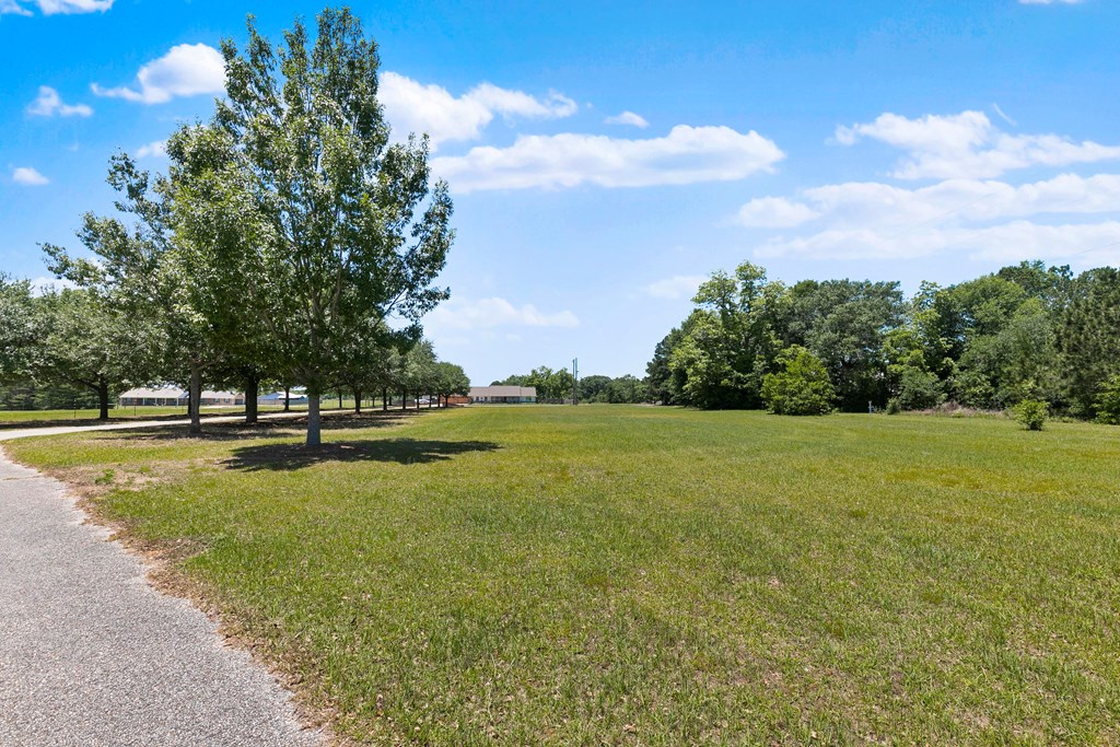 645 Windmill Road Newton, AL 36352 - Photo 86 of 123