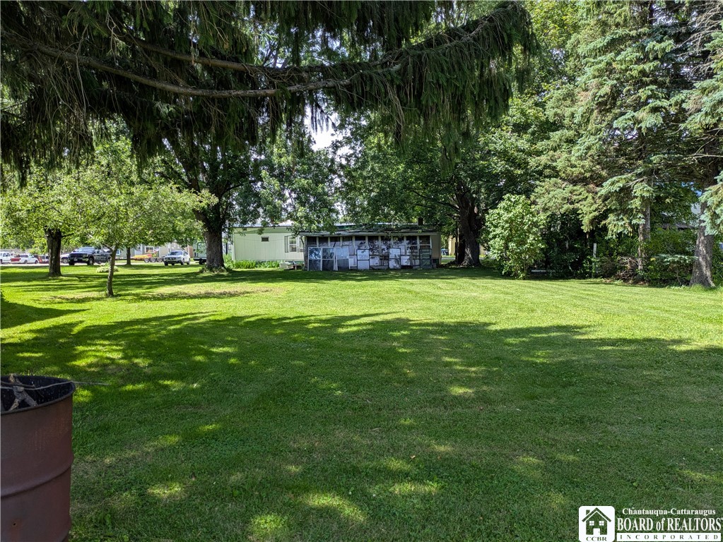 6 Burton Avenue Ripley, NY 14775 - Photo 23 of 25 From the back of the lot looking towards the front