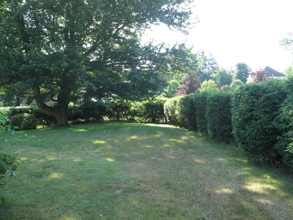 409 Lake Street Haverhill, MA 01832 - Photo 4 of 25 a view of a trees with a yard