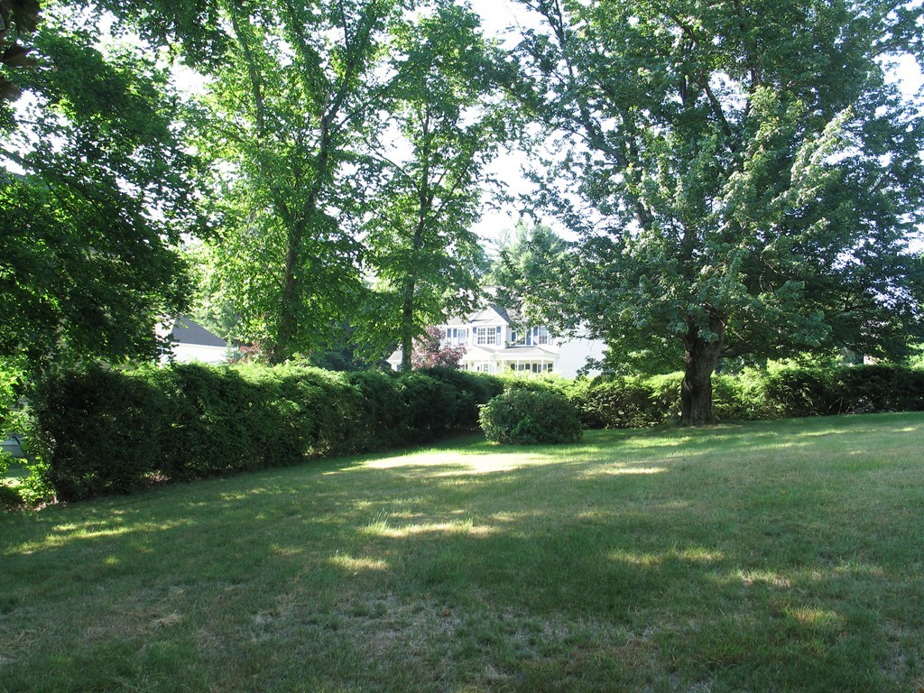 409 Lake Street Haverhill, MA 01832 - Photo 5 of 25 a view of a trees with a yard
