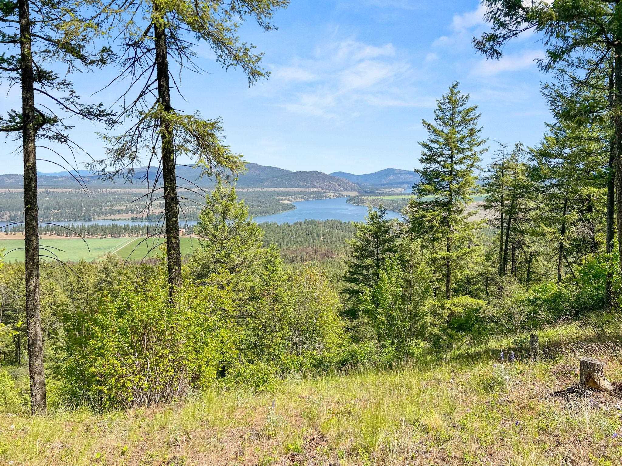 0 West Highland Road Ford, WA 99013 - Photo 21 of 41