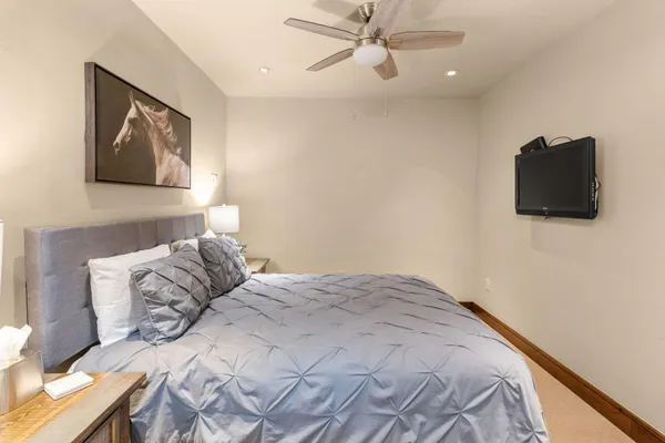 a bedroom with a bed and a tv