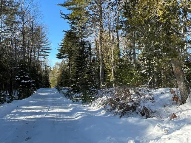 $199,000 | Lot 21-10 Toddy Drive, Penobscot, ME 04476