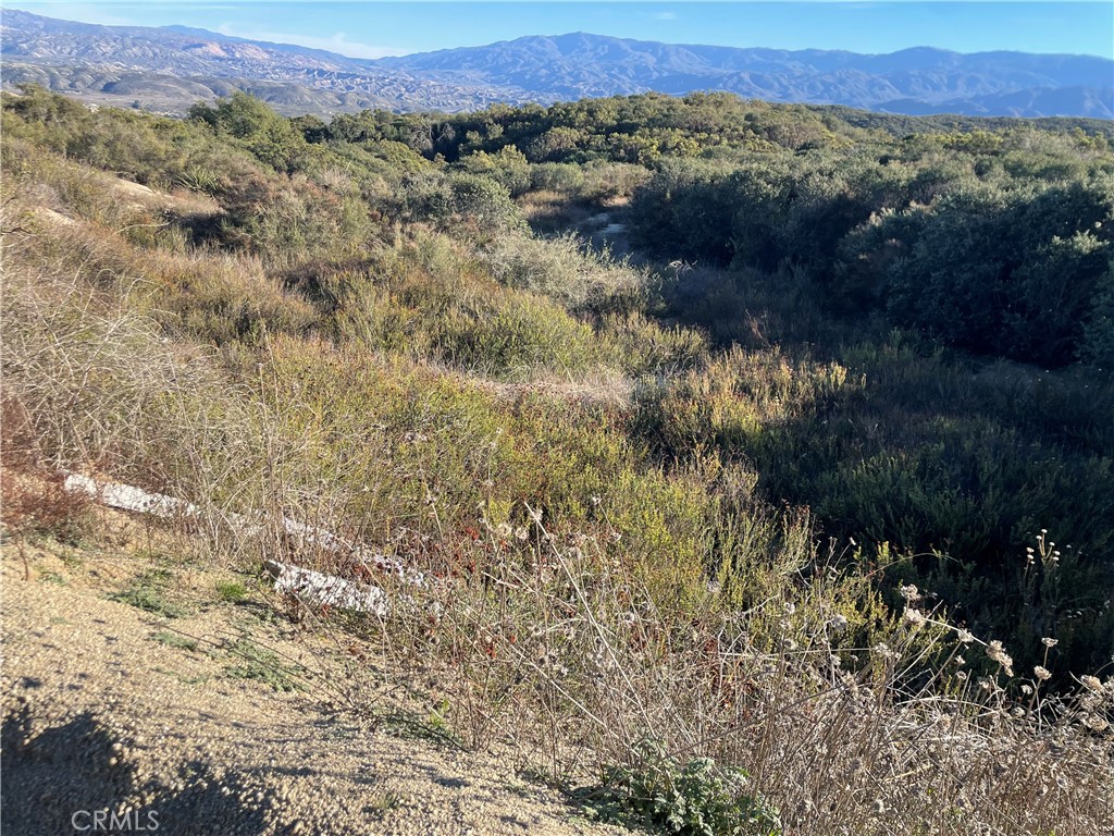 0 Denise Road Temecula, CA 92592 - Photo 4 of 7 a view of a forest with a mountain