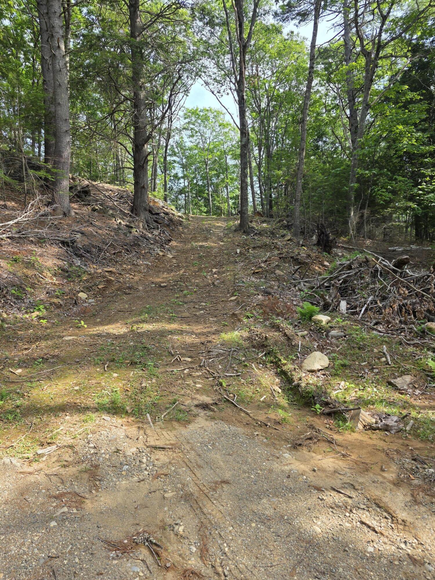 0 Pinnacle Road Liberty, ME 04949 - Photo 5 of 12