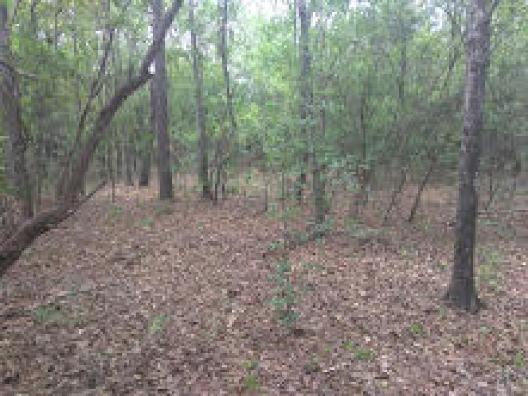 Springhawk Loop Tallahassee, FL 32305 - Photo 3 of 3 Gallery Image 3