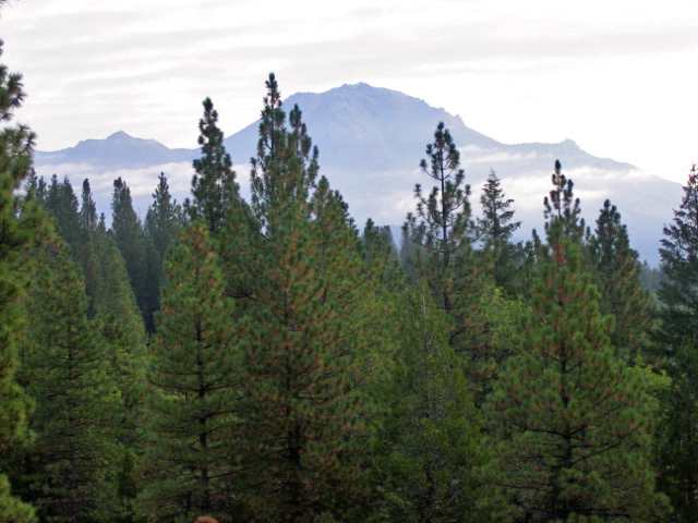 0 Ney Springs Road Mount Shasta, CA 96067 - Photo 3 of 9 Gallery Image 3