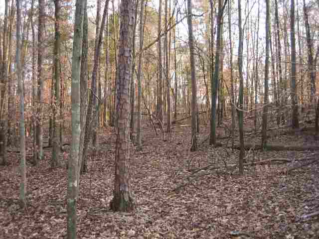 681 McClain Road Belton, SC 29627 - Photo 7 of 13 Gallery Image 7