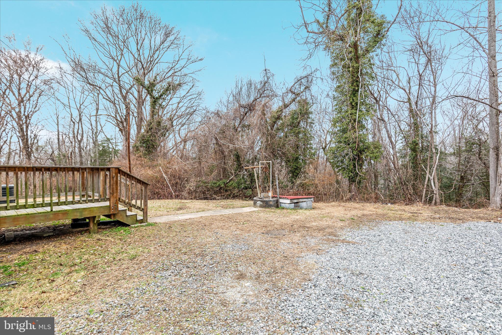 6533 Caledon Road King George, VA 22485 - Photo 22 of 32 a view of a yard with wooden fence and trees