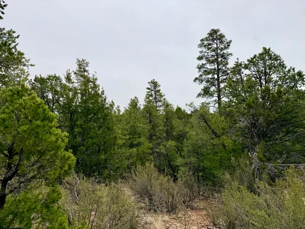 $86,500 | 4918 Sunset Ridge Loop, Happy Jack, AZ 86024